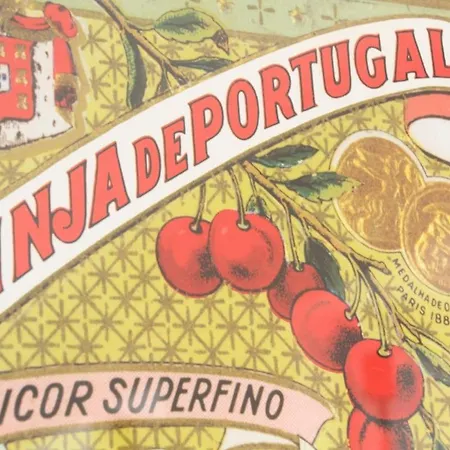 Apartament Martim Vaz I - Downtown